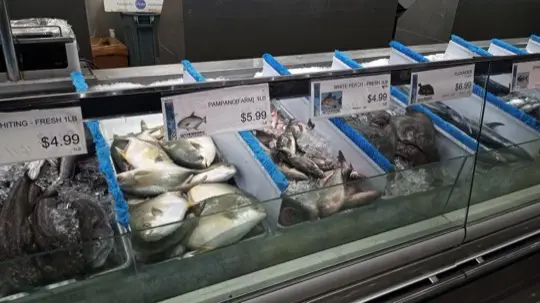 活鲍鱼品项示意照片