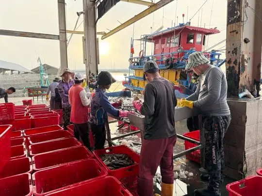 冷冻鲍鱼品项示意照片